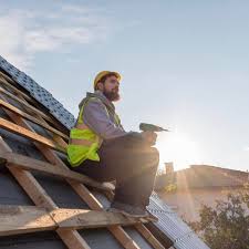 Best Roof Moss and Algae Removal  in Rocky Top, TN